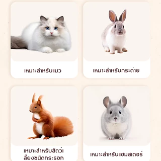 กรงกระต่าย กรงกระต่ายใหญ่ กรงกระต่ายถูกๆ กรงแมว กรงสัตว์เลี้ยง พื้นที่อิสระขนาดใหญ่ กรงแมวขนาดใหญ่ ประกอบง่าย