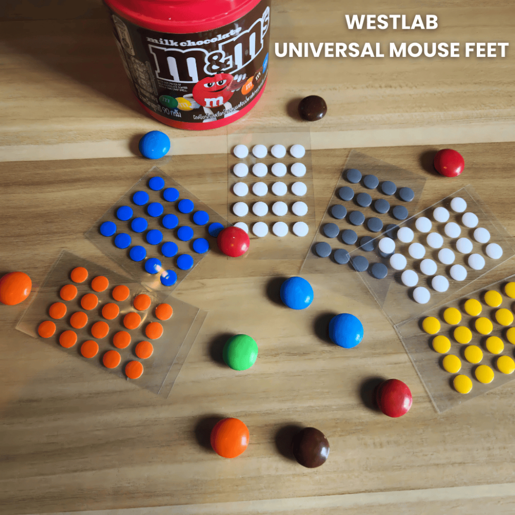 รูปภาพ 9