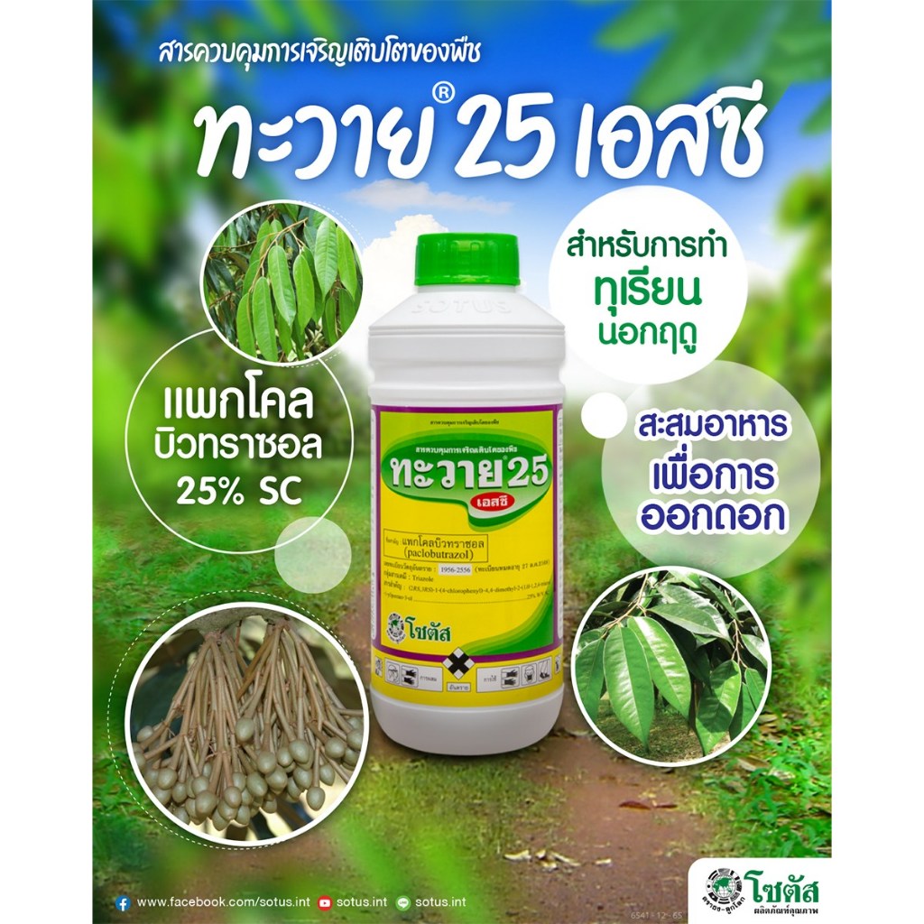 ทะวาย 25 เอสซี แพกโคลบิวทราซอล (paclobutrazol) 25%  SC