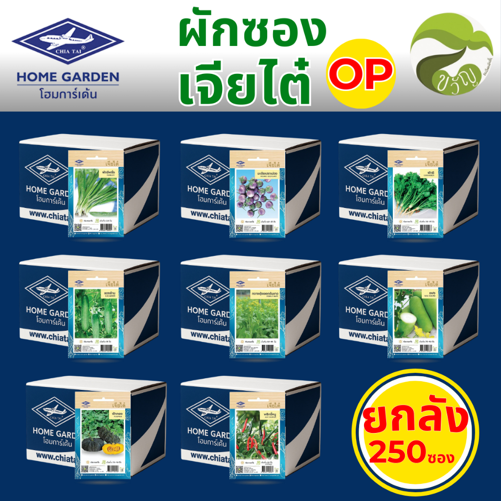 เมล็ดพันธุ์ ผักซอง OP เจียไต๋  แบบยกลัง 25 แพ็ค / 250 ซอง ล็อตใหม่