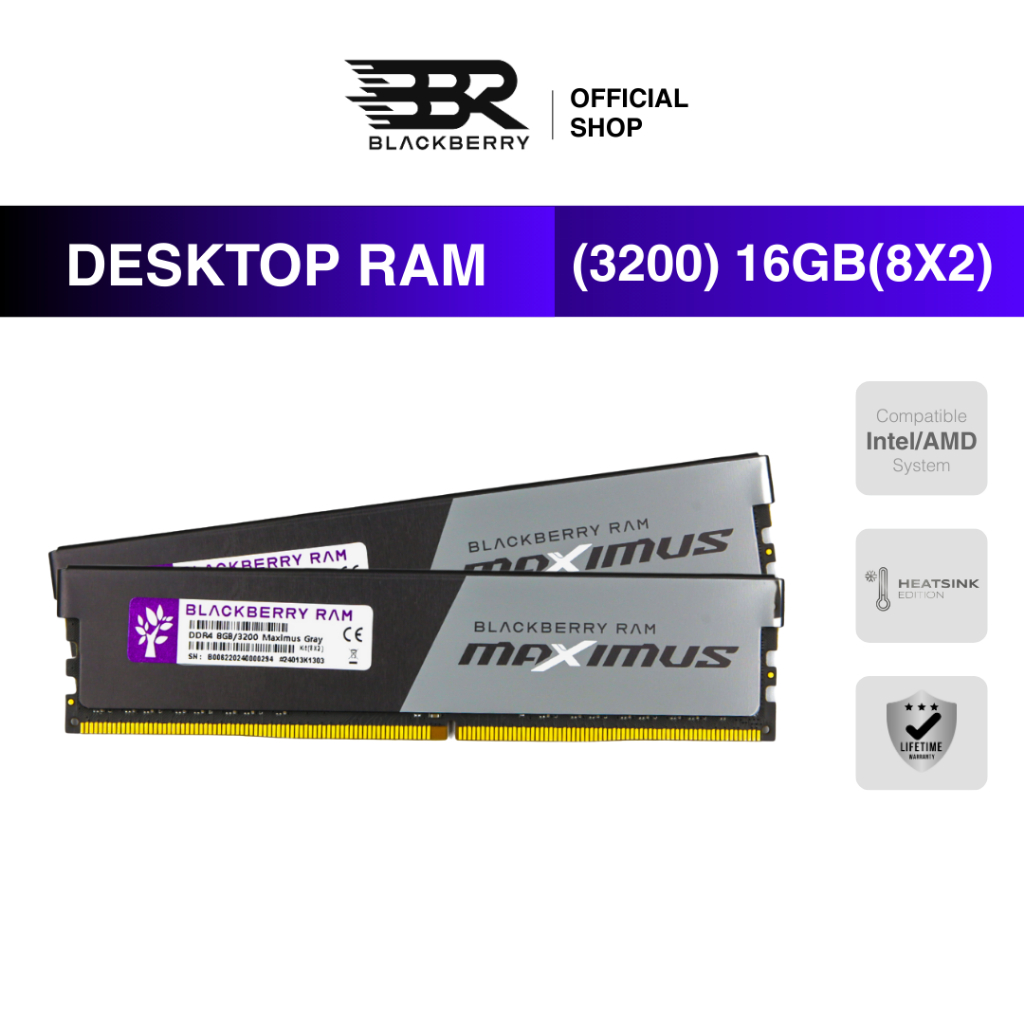 RAM PC DDR4 16GB (8GBx2) 3200MHz Blackberry (BBR) MAXIMUS GRAY รองรับ Intel/AMD ประกัน Lifetime