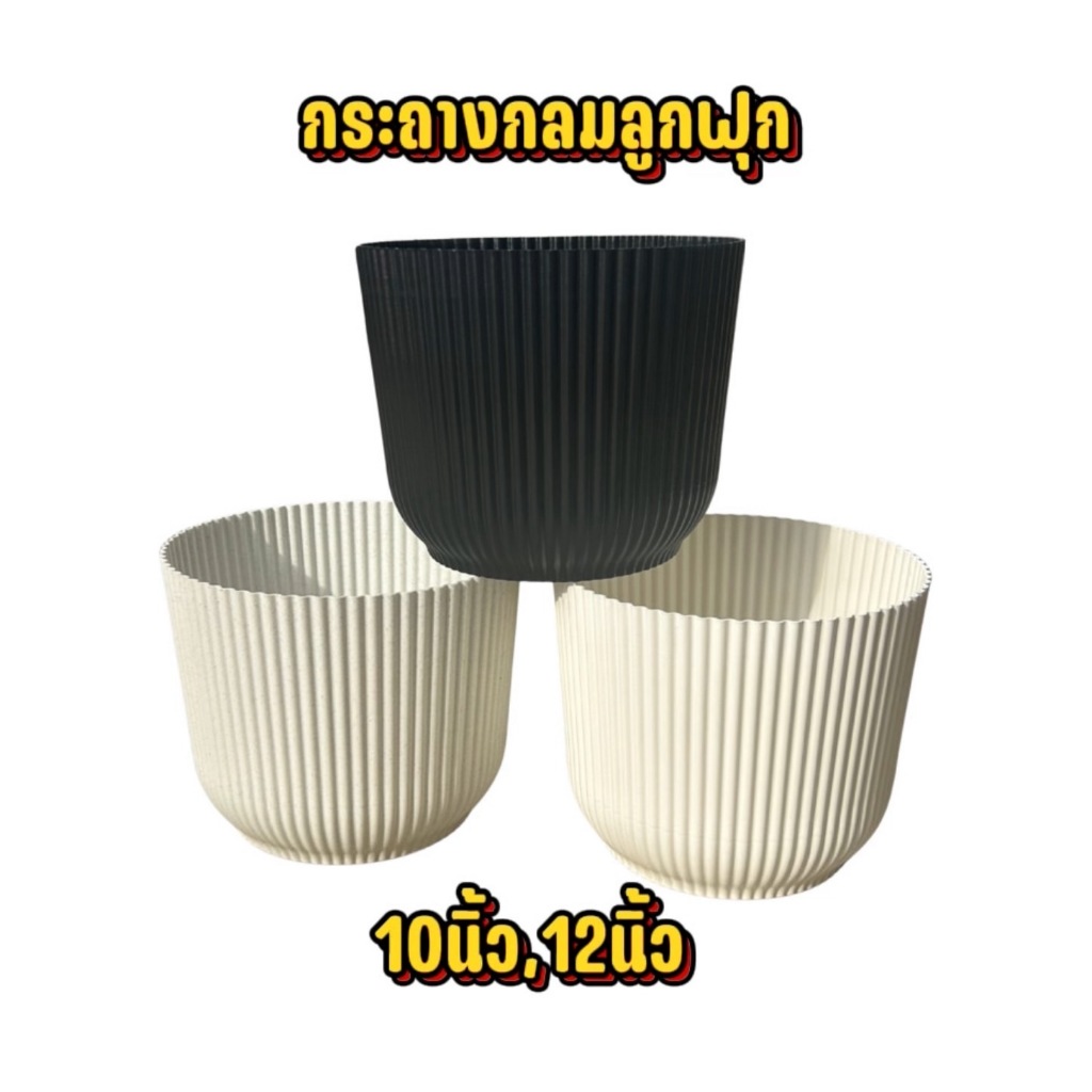 กระถางกลมลูกฟุก 10-12นิ้ว มีหลายสีพร้อมส่ง
