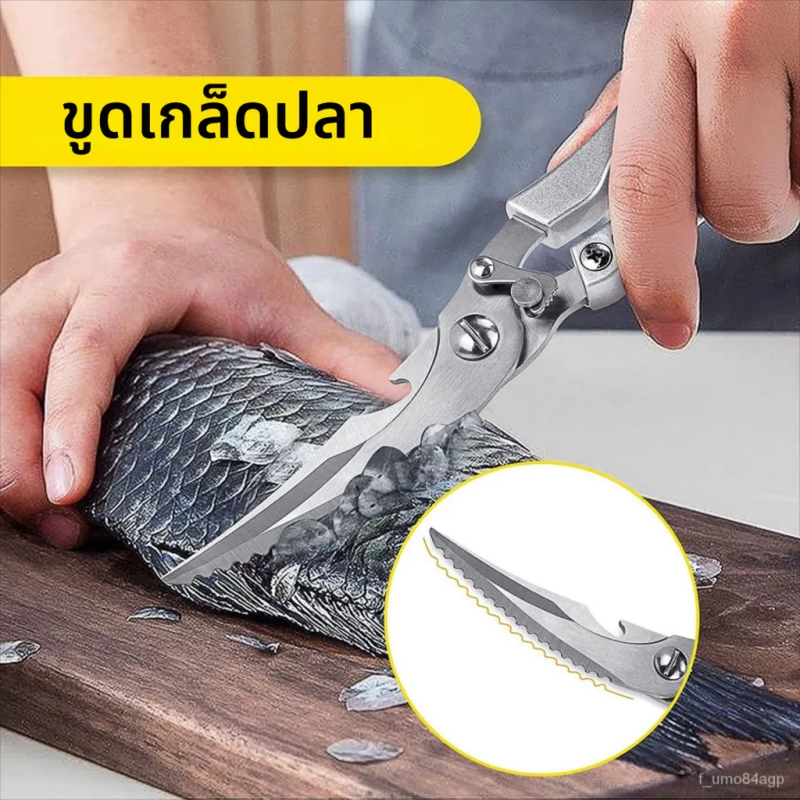 กรรไกร กรรไกรตัดกระดูก กรรไกรครัวอเนกประสงค์ กรรไกรสแตนเลสสำหรับอาหาร กรรไกรตัดกระดูกไก่ ที่เปิดขวด ที่ขูดเกล็ดปลา - รูปที่ 3