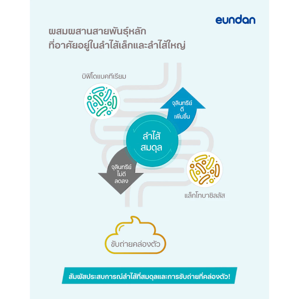Korea Eundan Probiotics - โคเรีย อึนดัน โพรไบโอติกส์ (30 แคปซูล) จุลินทรีย์ 10,000 ล้านตัว ต่อ 1 แคปซูล thumbnail 5