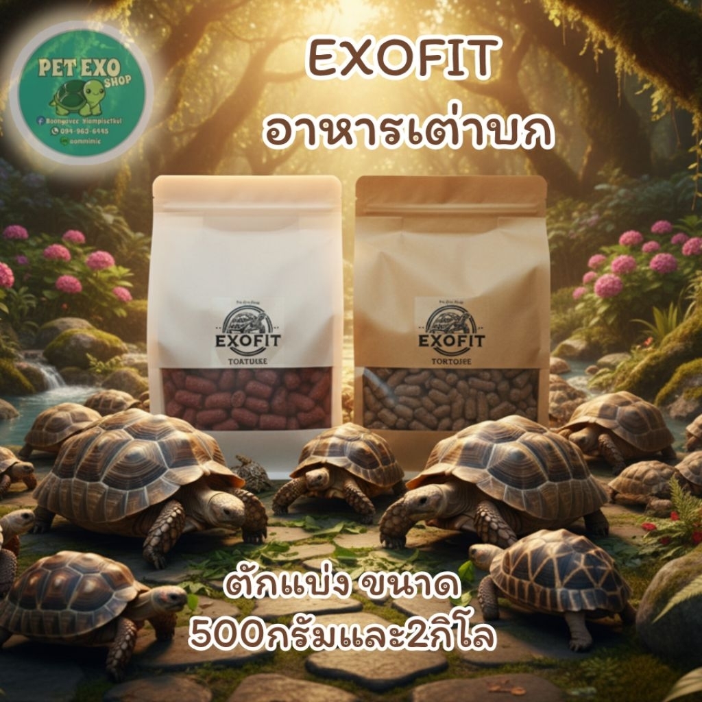 [สินค้าออกใหม่‼️]exp05/2026อาหารเต่าบก EXOFIT 2 สูตร ขนาด 500กรัม และ 2 กิโล กินง่าย พร้อมส่งทุกวัน