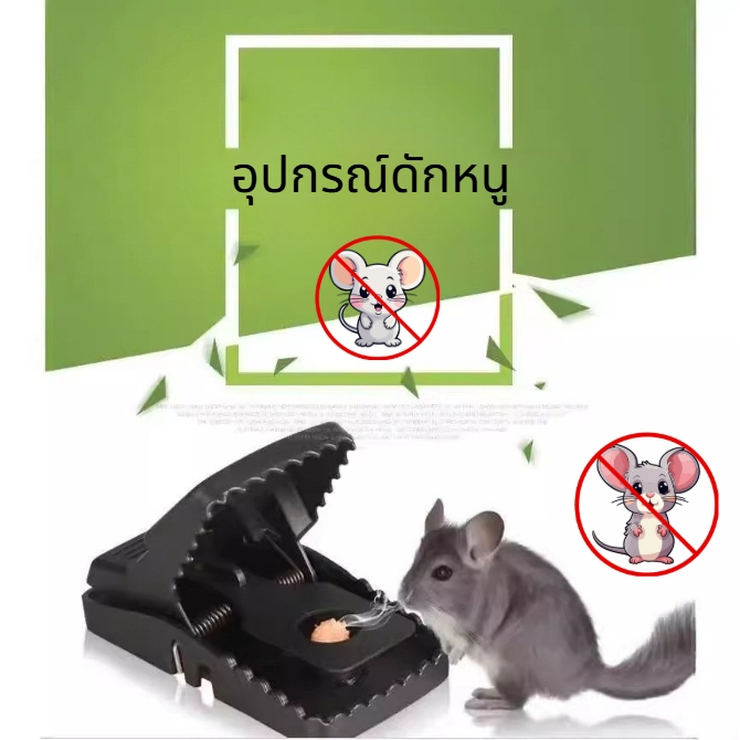 ที่ดักหนู กับดักหนู อุปกรณ์ดักหนู กับดักหนูบ้าน แบบสปริง เหยื่อดักหนู สารกำจัดหนู กาวดักหนู ยาเบื่อหนู
