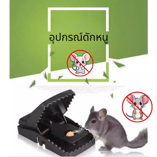 ที่ดักหนู กับดักหนู อุปกรณ์ดักหนู กับดักหนูบ้าน แบบสปริง เหยื่อดักหนู สารกำจัดหนู กาวดักหนู ยาเบื่อหนู