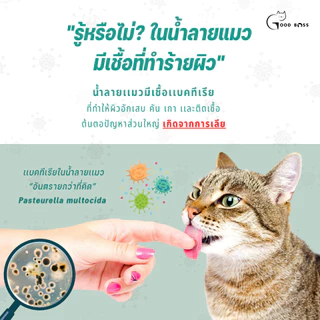 Goodboss Roller Cat เจลลดคันสำหรับเเมว ลดผื่นเเดง ขนร่วง สารสกัดจากธรรมชาติ ขนาด 10ml.