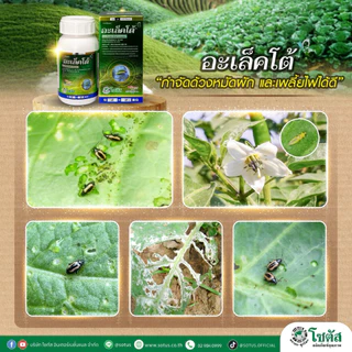 อะเล็คโต้ (โบรฟลานิไลด์) *ขนาด 100 ซีซี/250 ซีซี กำจัดหนอนได้ทุกระยะ กำจัดด้วงหมัดผักได้ดี เห็นผลไว ไม่เป็นพิษต่อพืชปลูก