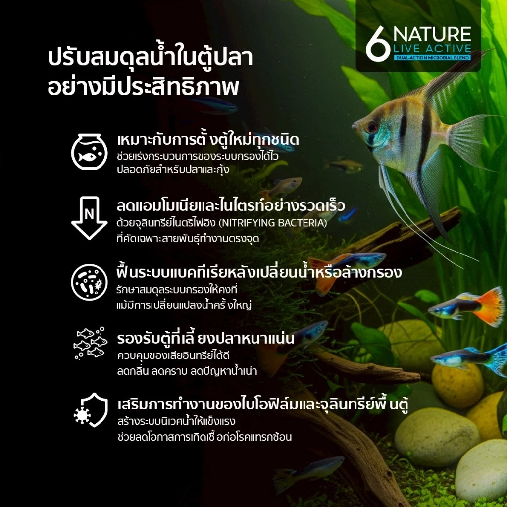 🥄ฟรีช้อนตวง‼️จุลินทรีย์ REFRESH PRO & BB Clear & 6NATURE จุลินทรีย์บำบัดน้ำ ปรับปรุงคุณภาพน้ำ และ ดูแลสุขภาพปลา thumbnail 6