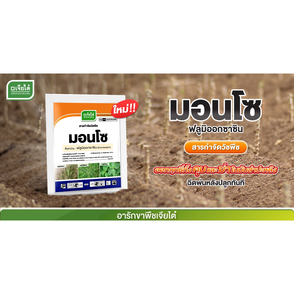 มอนโซ กล่องละ50กรัม ข้างเป็นซอง5กรัม 10ซอง กำจัดวัชพืชปราบยาก เช่น ตีนกาหรือผสม กลูโฟ 1ซอง/20ลิตร