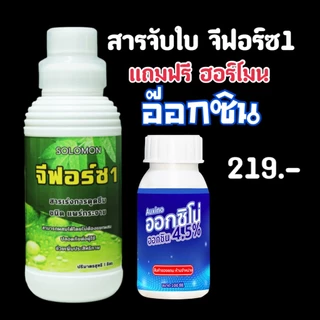 จีฟอร์ซวัน สารจับใบ 1ลิตร แถมฮอร์โมนอ๊อกซิน100ซีซี ช่วยเพิ่มประสิทธิภาพ ปุ๋ยน้ำ ที่ผสมร่วม 1ลิตร