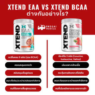 Xtend BCAA - 30 servings, Xtend, BCAA เป็นตัวแทนจำหน่ายโดยตรงจากบริษัท