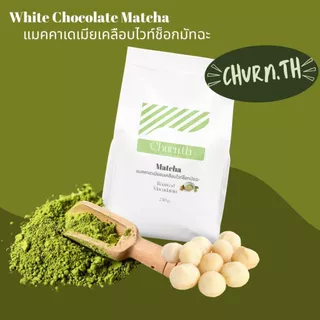 Churn.th แมคคาเดเมียอบเคลือบไวท์ช็อกมัทฉะ เกรดนำเข้า เต็มเม็ด Matcha white-Chocolate coated Macadamia