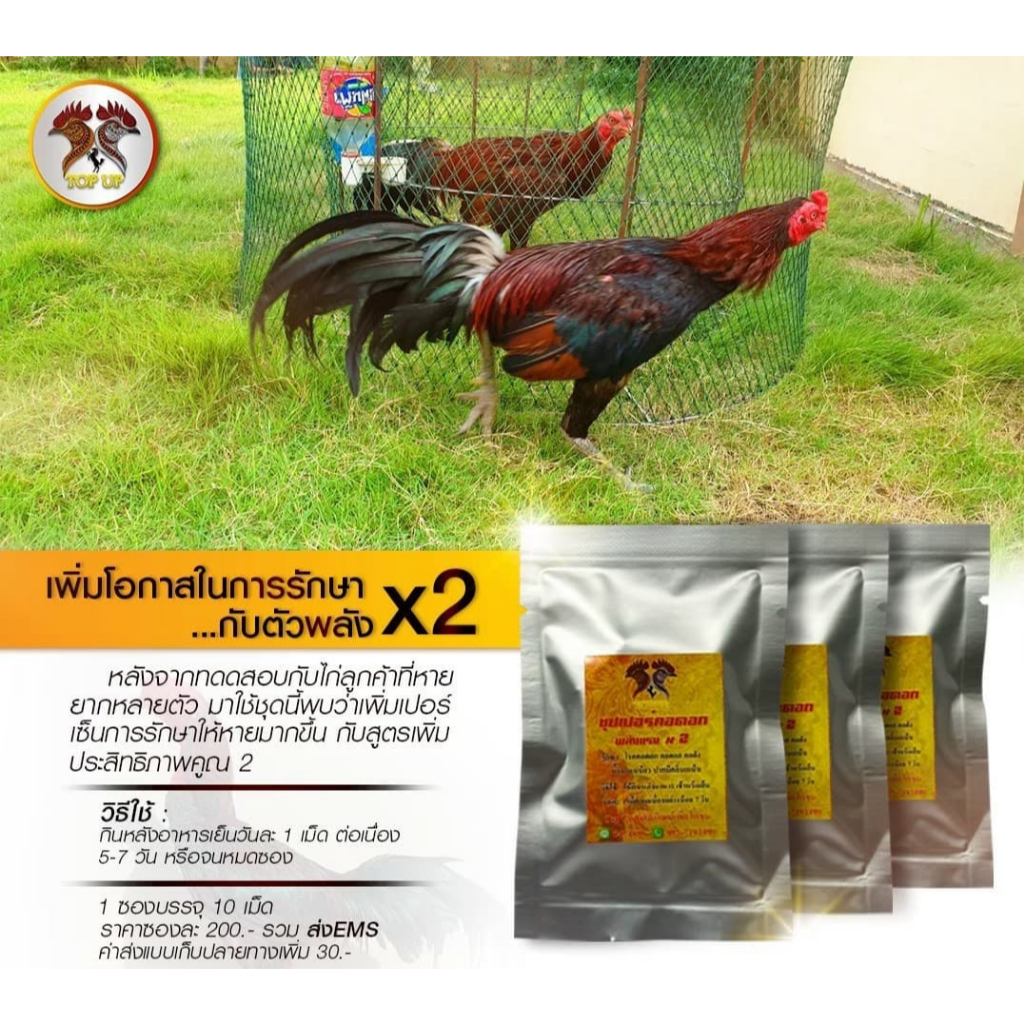 ซุปเปอร์คอดอกไก่ แรง X2 ไม่ต้องแคะไม่ต้องแกะ แค่กินคอดอกหลุดออกเอง