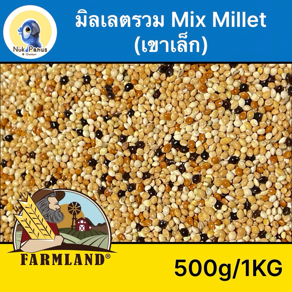 มิลเล็ตรวมA อาหารนกนกเขา นกเขาเล็ก อาหารนกแก้ว (mix millet)