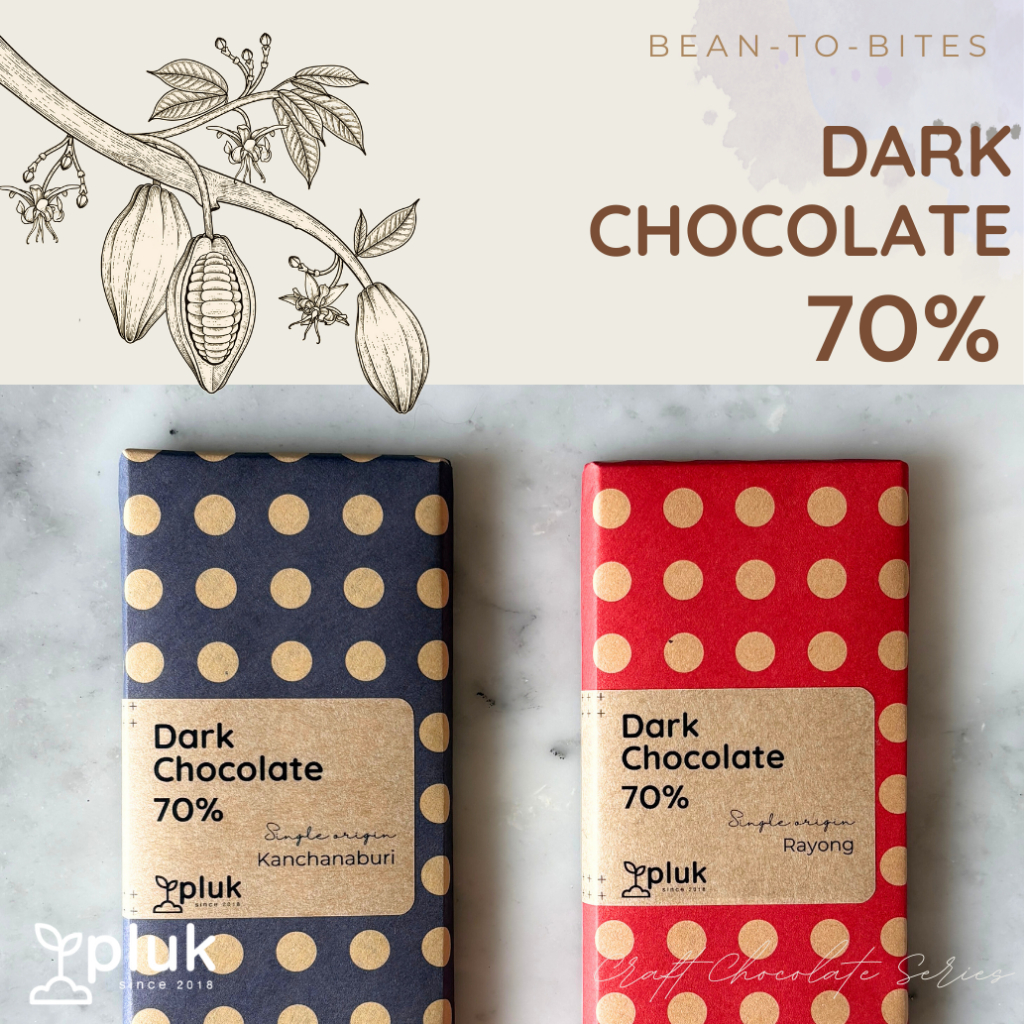 คราฟต์ ดาร์คช็อคโกแลต 70% กาญจนบุรี ระยอง Craft Chocolate Dark Chocolate 70% Single origin Kanchanab
