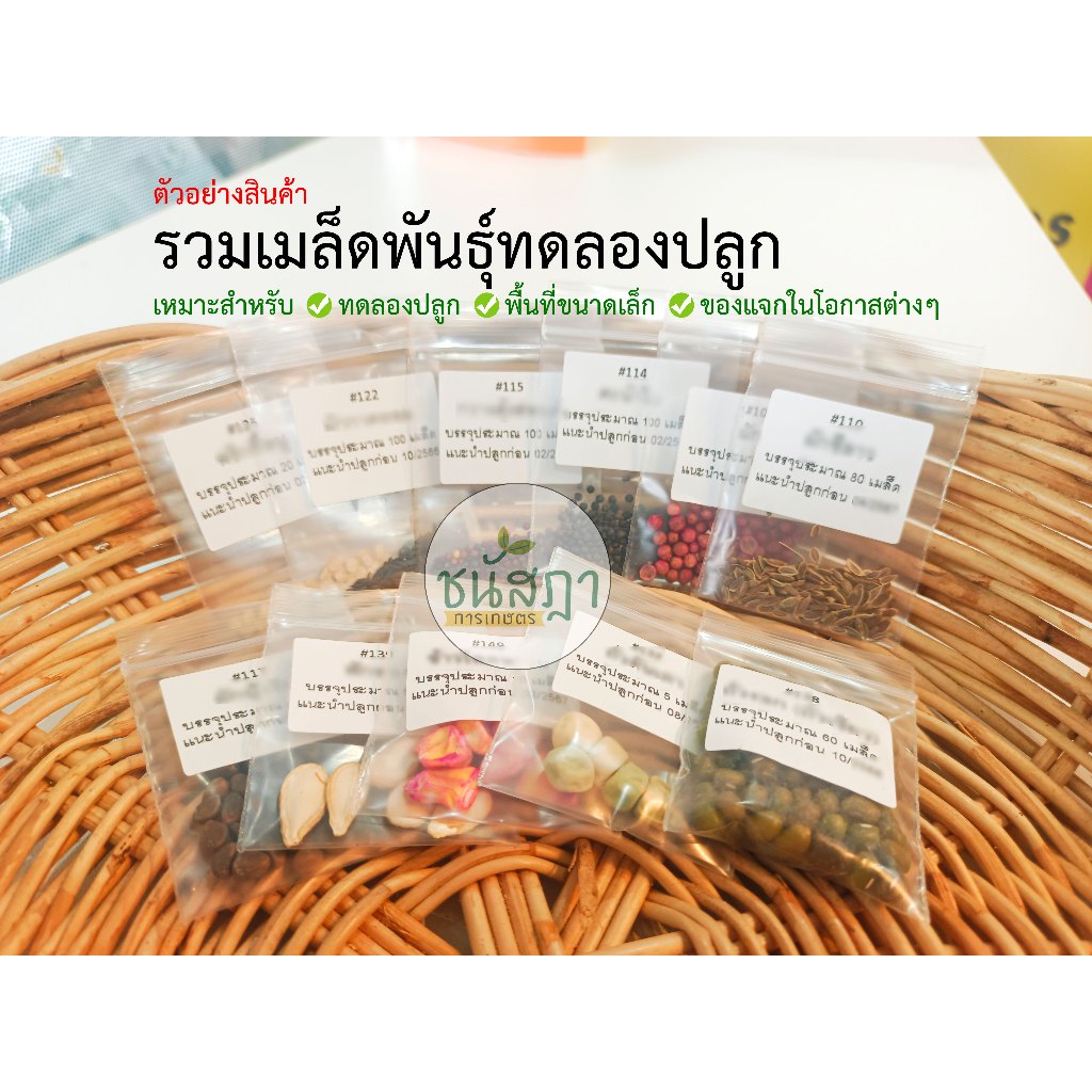 รูปภาพ 4