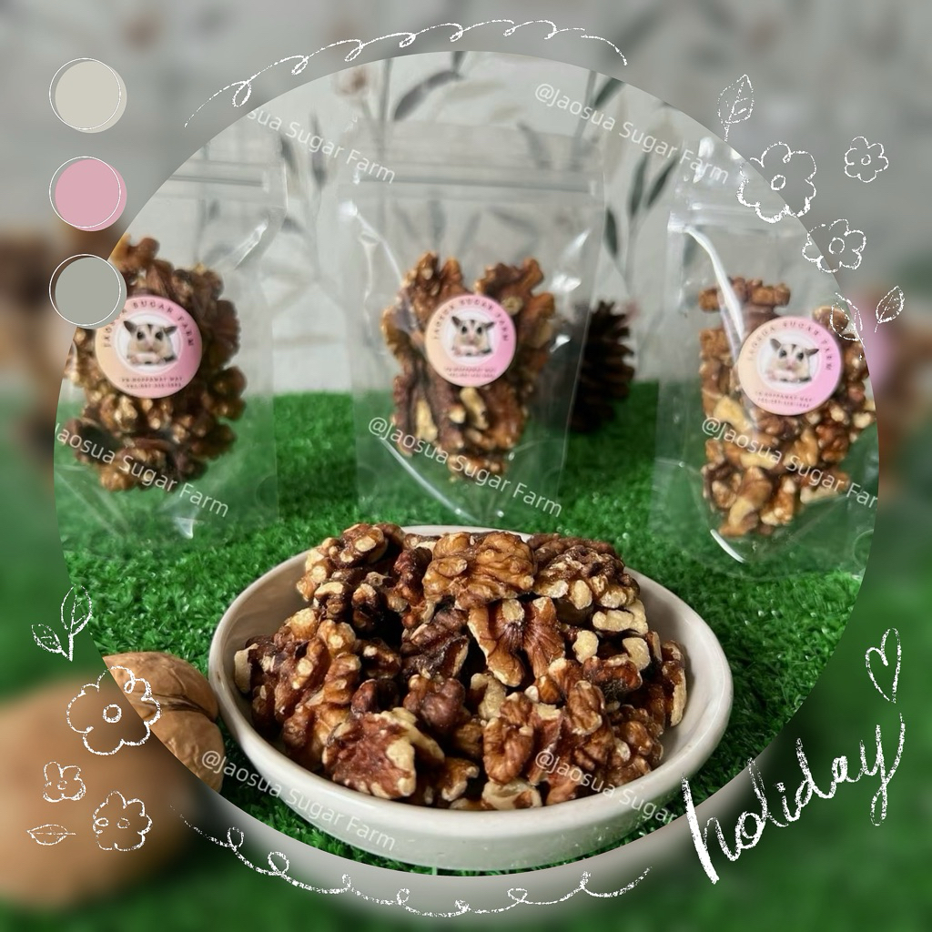 🌰✨วอนัทดิบแบบแกะเปลือก✨🥜 ถั่วรูปสมอง สำหรับ สัตว์ฟันแทะ!!