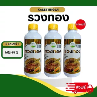 รวงทอง (2 แถมฟรี 1) สามช่วงสุดท้ายสำคัญในนาข้าว รับท้อง โผล่เผล่ สลัดเกสร 1 ขวด 15-20 ไร่ เร่งเต่ง เพิ่มน้ำหนัก