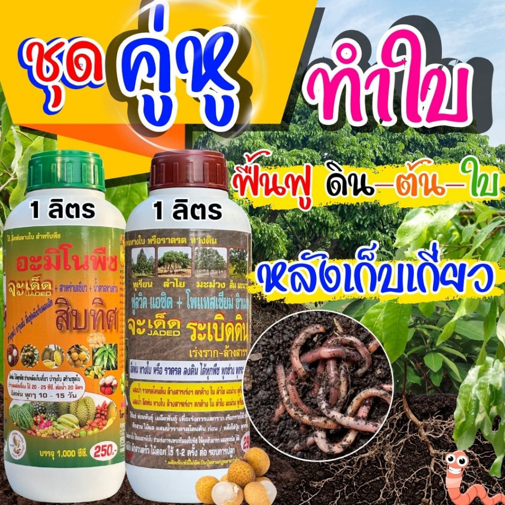 ชุดคู่หุ สิบทิศคู่ล้างสาร-ระเบิดดิน-เร่งราก ขนาด 1 ลิตร ชุดทำใบ ฟื้นฟูหลังเก็บเกี่ยว ฟื้นฟูดิน-ต้น-ใบ
