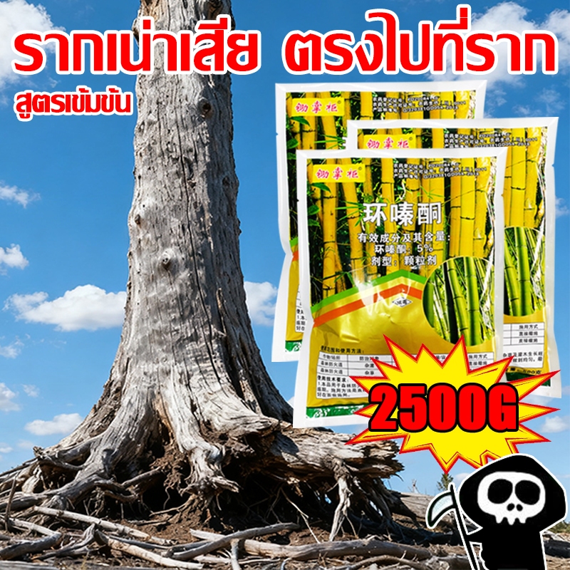 🔥หนึ่งโรยรากเน่า100%🔥ยาฆ่าไผ่ สารกำจัดกอไผ่ ยาฆ่าตอไม้ 5%เฮกซาซิโนน ไม่เป็นอันตรายต่อดิน บอกลาการตัดต้นไม้ด้วยตนเอง