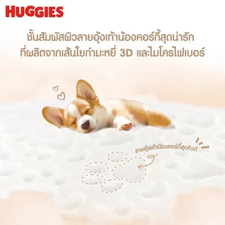 [ยกลัง 2 ลัง] Huggies Gentle Soft ผ้าอ้อมเด็กซุปเปอร์พรีเมียม แบบกางเกง ฮักกี้ส์ เจนเทิล ซอฟท์ ไซส์ M-XXL