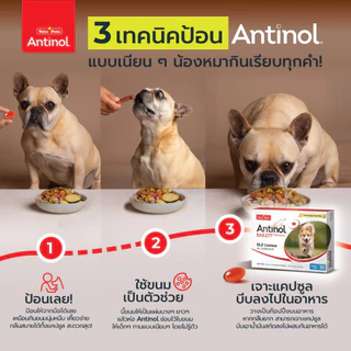 [2 กล่อง] Antinol Dog แอนทินอล อาหารเสริมสุนัข บำรุงข้อ ข้อต่อ ลดอักเสบ สกัดจากธรรมชาติ