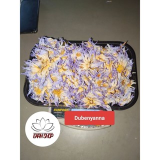 ดอกบัวอบแห้งดูเบ็น (Dubenyanna)อียิปต์ลูผสมใช้ชงเพื่อสุขภาพข…