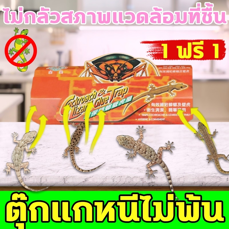 🦎ติดตุ๊กแกได้ง่าย🦎กําจัดจิ้งจก ดักจิ้งจก บ้านจิ้งจก การจับตุ๊กแกทางกายภาพ ปลอดภัยยิ่งขึ้น ไม่มีสารเคมี ไร้กังวล