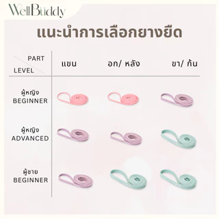 WellBuddy ยางยืดออกกำลังกาย ยางยืดแรงต้าน 3 ระดับ Light Edition (Resistance Band)