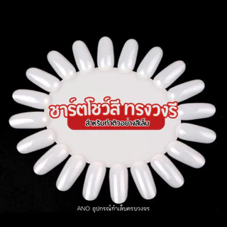 ชาร์ตโชว์สี ทรงว​ง​รี : สำหรับทำตัวอย่างสี ฝึกทาสี ฝึกเพ้นท์เล็บ