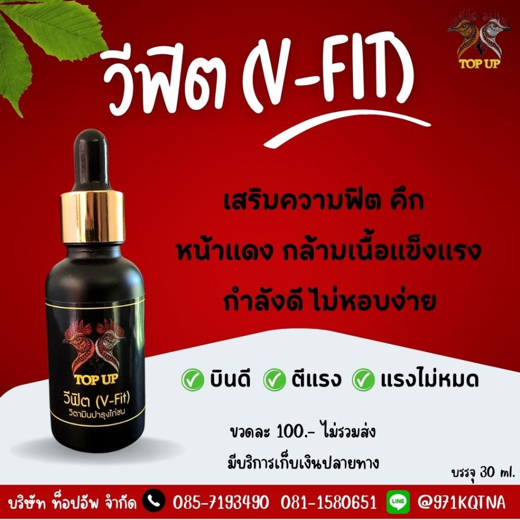 วีฟิต วิตามินบำรุงไก่ชน Topup