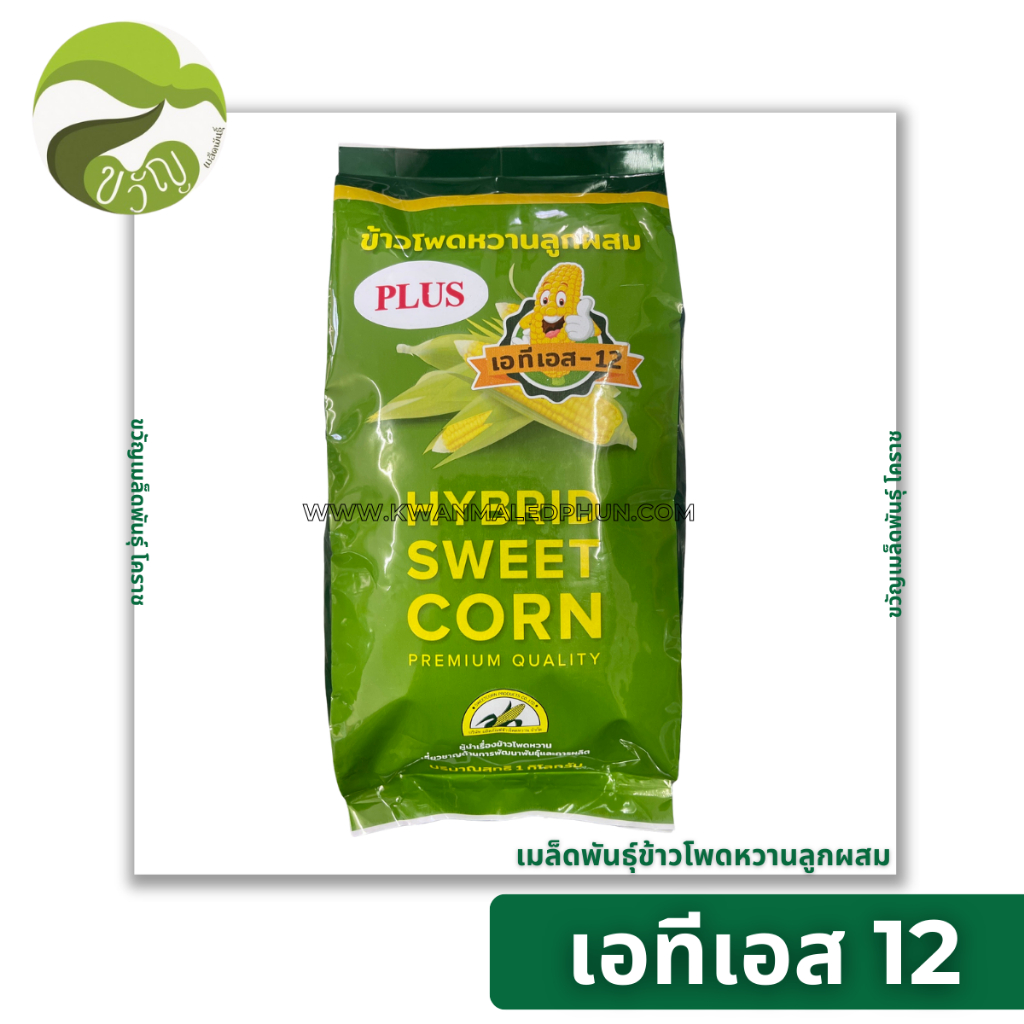 เมล็ดพันธุ์ข้าวโพดหวานลูกผสม เอทีเอส12 (ATS 12)  ขนาด 1 กิโลกรัม ลอตใหม่ล่าสุด