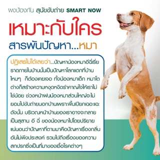 ไล่หมา ผงไล่แมว ไล่สุนัขจร ไม่อันตรายต่อสัตว์ ชนิดผง smart now (มีเก็บปลายทาง จัดส่งไว)