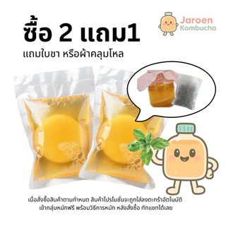 Scoby Kombucha หัวเชื้อ หมักคอมบูชา รสกลมกล่อม พร้อมคำแนะนำ