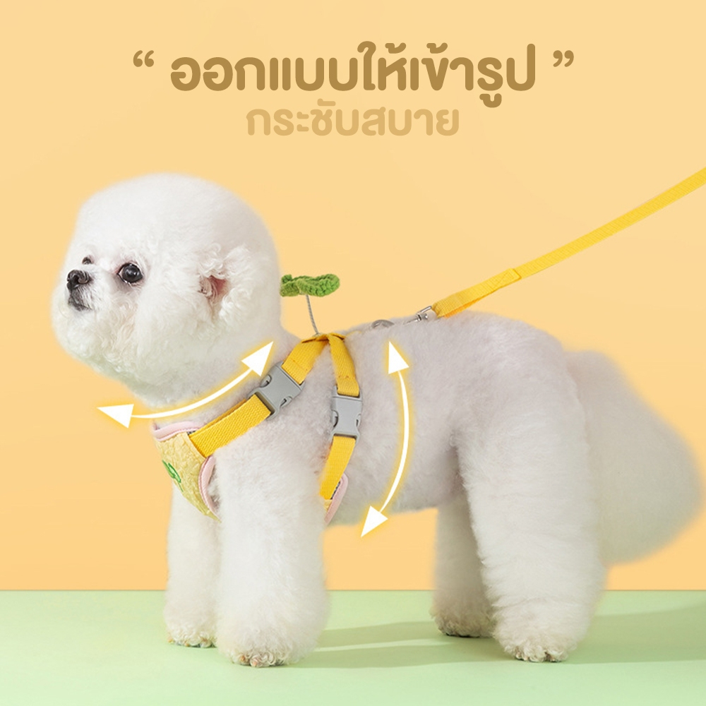 เชือกจูงแมว รุ่นOP213 สายจูงแมว สายรัดอกแมว สายจูงสุนัข 3pcs หมวกกันแดด สายรัดหน้าอก รูปที่ 2