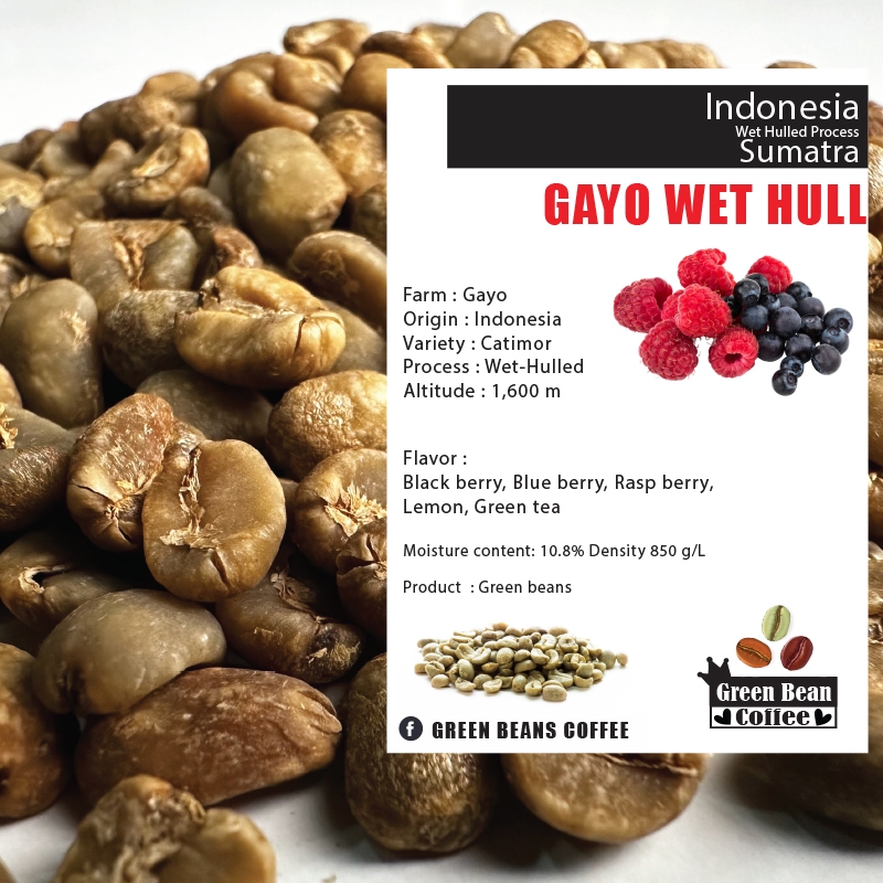 สารเมล็ดกาแฟดิบ INDONESIA GAYO WET HULL G1 " Wet Hulled " Green bean ขนาด 1,000 กรัม