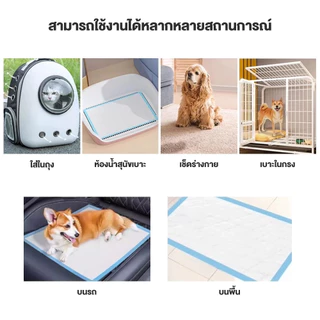【พร้อมส่ง】 แผ่นรองฉี่สุนัข ซึมซับไดีดี ต่อต้านแบคทีเรีย แผ่นรองฉี่ ผ้ารองฉี่สุนัข แผ่นรองฉี่แมว แผ่นรองซับ ทรายแมวCOD