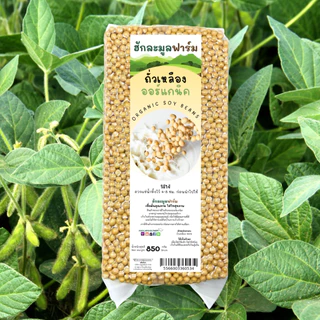 ถั่วเหลือง ออร์แกนิค 850กรัม ตราฮักละมูลฟาร์ม Organic Soy Bean