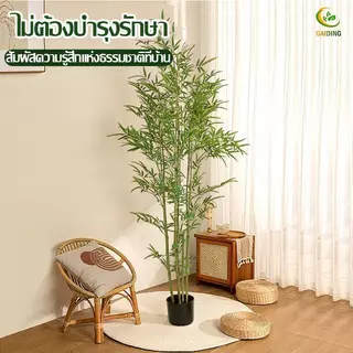 【ไม่ต้องดูแล-ร้อยปีไม่เสีย】ต้นไม้ประดิษฐ์ ต้นไม้ปลอม ต้นไผ่ ต้นไม้ปลอมใหญ่ 120/160/180cm ความจำลอง 99% ต้นไม้แต่งห้อง