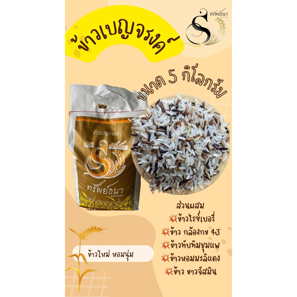 ข้าวเบญจรงค์5สีกระสอบ5กกตราทรัพย์ธนา - รูปที่ 3