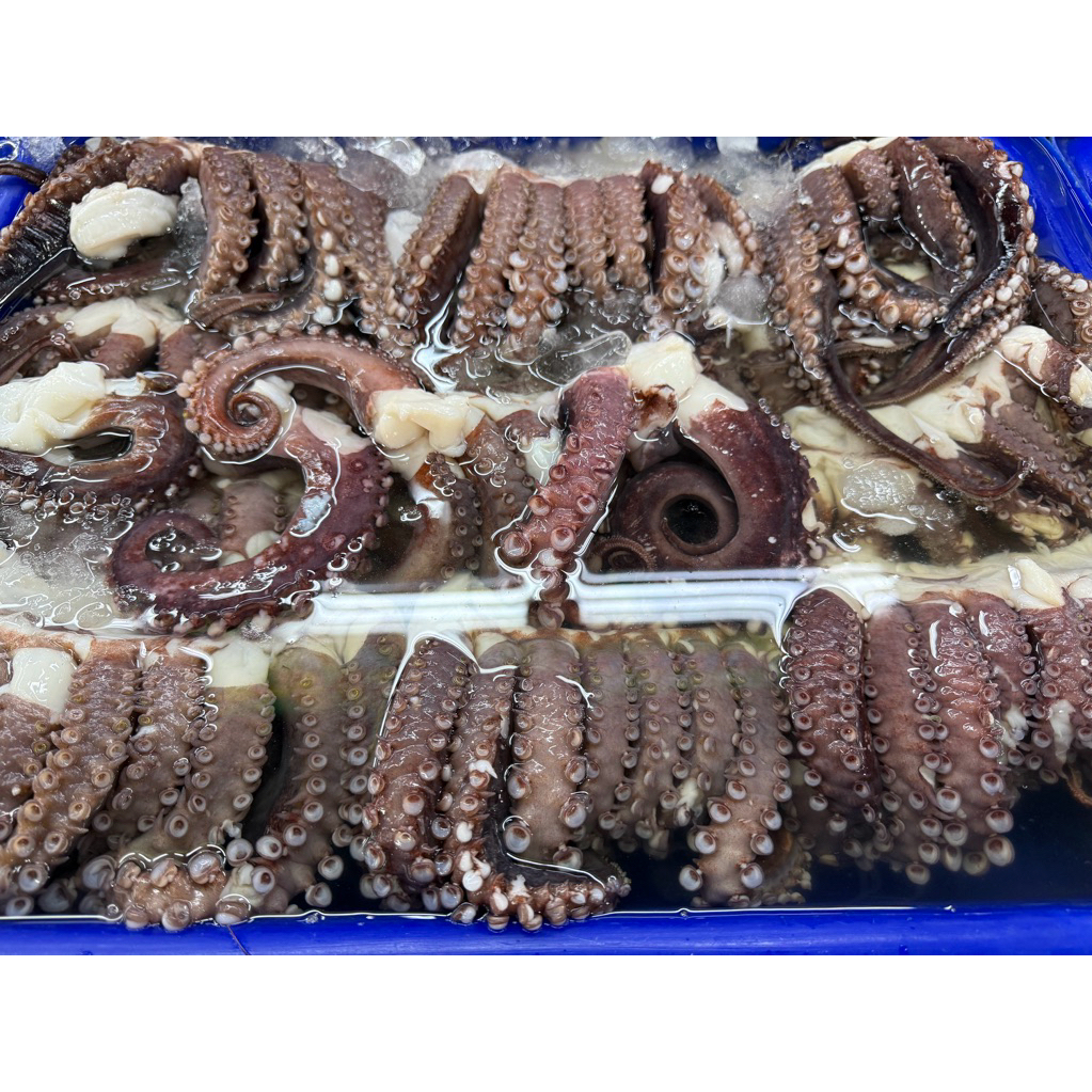 หนวดหมึกยักษ์ 1-2 ตัวโล 1 กิโลกรัม สดใหม่