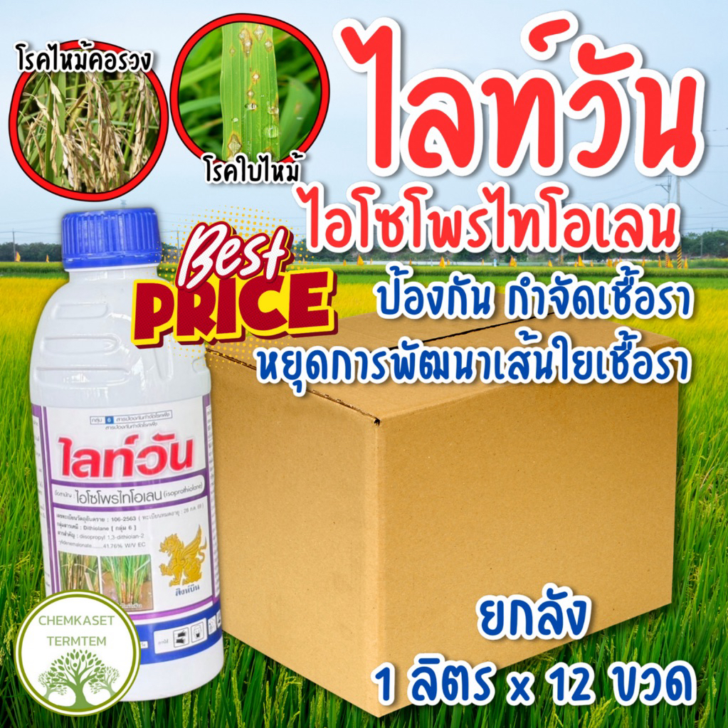 ยกลัง*12 ไลท์วัน1ลิตร ไอโซโพรไทโอเลน ป้องกันกำจัดโรคพืชใบไหม้ ขอบใบกาบใบแห้ง เมล็ดด่าง เมล็ดกระถิน