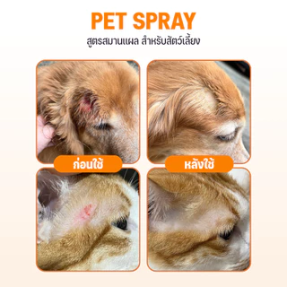 Goodboss Pet Spray สเปรย์สมานเเผลสำหรับสัตว์เลี้ยง ช่วยให้เเผลเเห้งเร็ว ผลิตภัณฑ์ออแกนิค