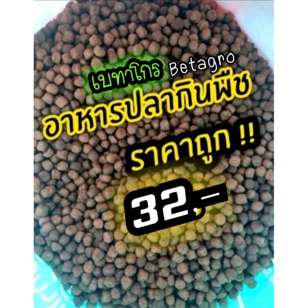 #อาหารปลากินพืชราคาถูก #อาหารปลากินพืชเบทาโกร #อาหารปลาวัดราคาถูก #อาหารปลา