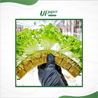 UPuper Rockwool plug sheet ร็อควูล ชีท สำหรับ เพาะชำ เพาะเมล็ด โคลนนิ่ง ชีทใยหินปลูกต้นไม้ 98 ชิ้น