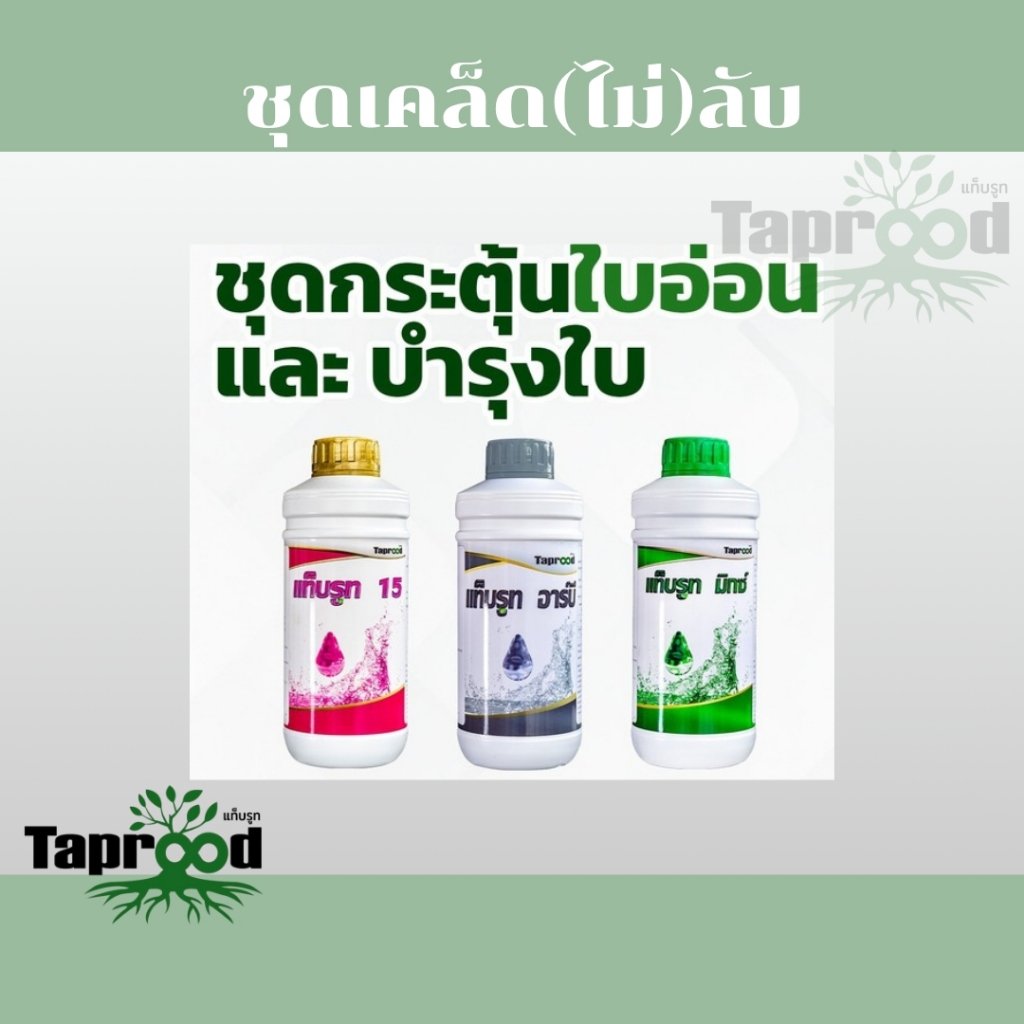 ชุดกระตุ้นใบอ่อน และบำรุงใบ *15+อาร์บี+มิกซ์