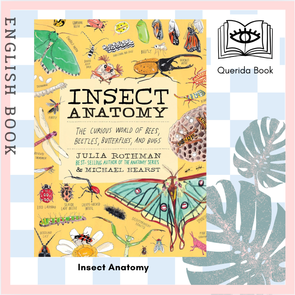 [Querida] หนังสือภาษาอังกฤษ Insect Anatomy : The Curious World of Bees, Beetles, Butterflies, and Bugs by Julia Rothman
