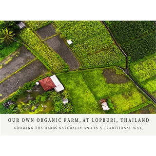 S34 DR.JAMES ACNE ORGANIC FOAM 100g ดร. เจมส์ แอคเน่ ออแกนิค โฟม 100 กรัม